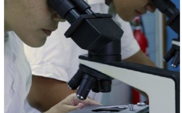 Rentrée de l’école doctorale du Pacifique Mercredi 27 novembre