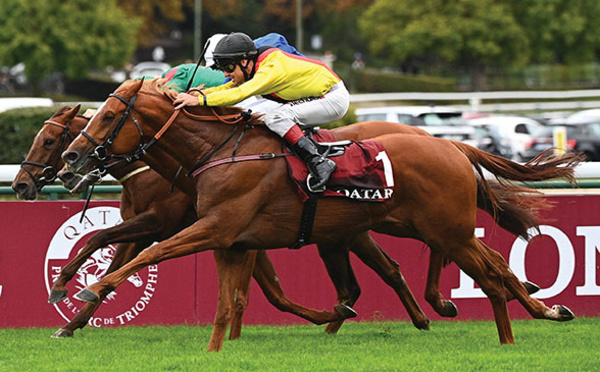Coup de filet dans le monde du cheval pour des soupçons de dopage et de triche