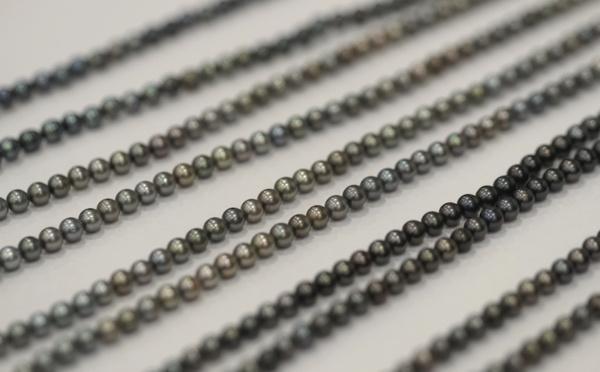 Il y a 60 ans, la greffe prenait