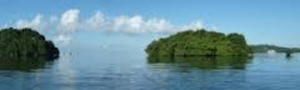 Le Pacifique au chevet de son environnement