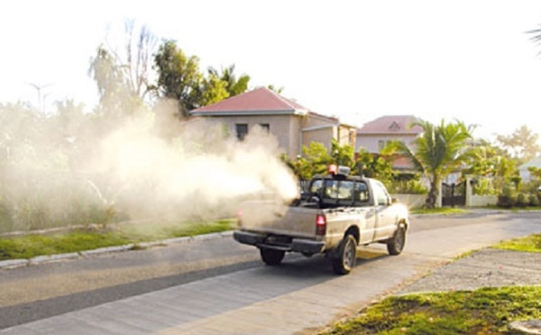 Lutte contre les moustiques : les pulvérisations d’insecticide ne suffisent pas