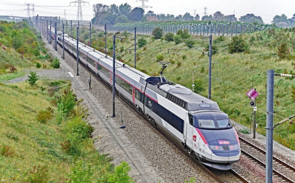 TGV Sud-Est: la grève s'éteint, mais trop tard pour sauver les départs vendredi