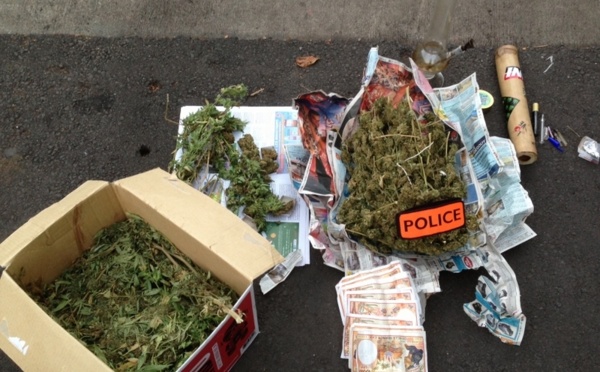 La police interpelle un mécano à la main verte