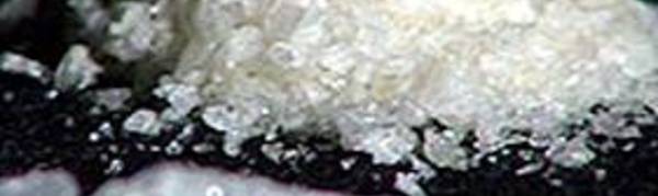 Saisie record de 330 kilogrammes de métamphétamine à Auckland