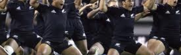 Rugby: Les All Blacks plus que jamais maîtres du monde