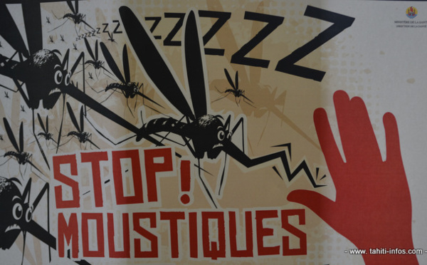 La grande chasse aux moustiques est ouverte en Polynésie