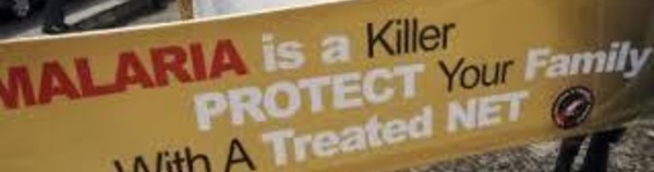 Rapport de l’OMS sur le paludisme : plusieurs pays mélanésiens concernés