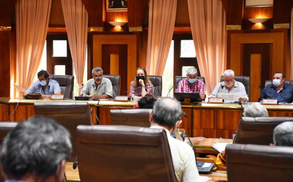 ​Le Cesec “pas convaincu” par la réforme de l’habitat social