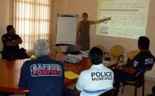 Démoustication : la ville de Pirae prend les devants