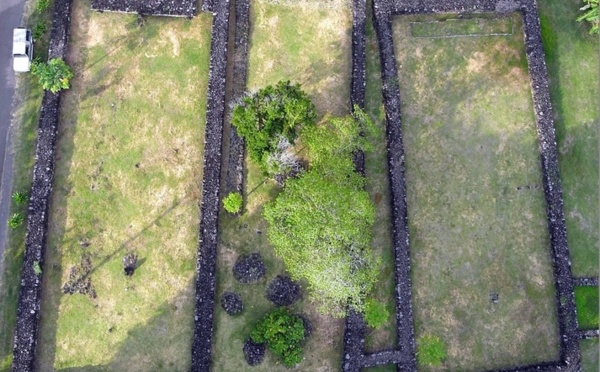 Culture : le marae Marae Ta’atā  revalorisé