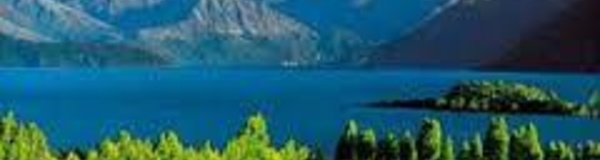 Récolte exceptionnelle pour les viticulteurs de Nouvelle-Zélande