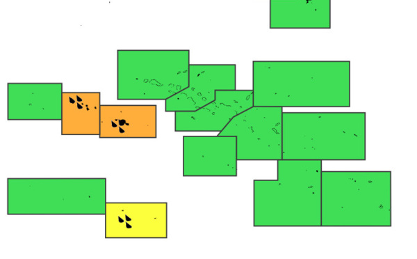 La Polynésie balayée par des fortes pluies