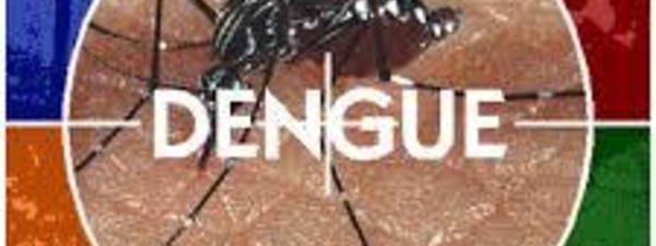 Alerte à la dengue à Fidji