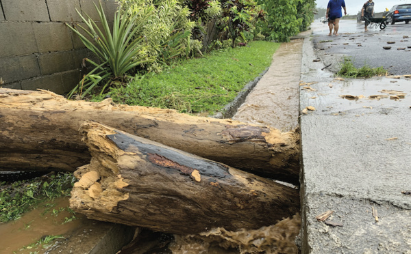 La Société dans le rouge