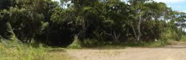 Bora-Bora: Une camionnette ne peut éviter un vélo, décès d'un enfant de onze ans (MAJ)