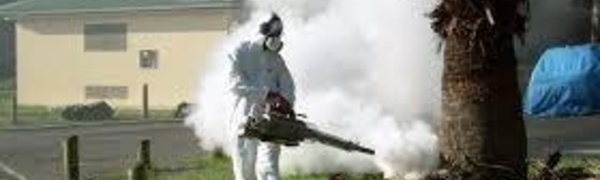 Dengue à Fidji : le cap des 400 cas franchi