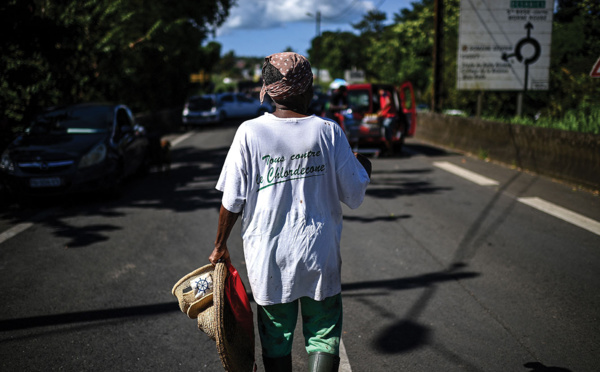 Chlordécone aux Antilles: deux plaintes d'associations jugées irrecevables