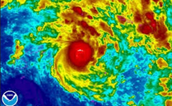 Tonga: le cyclone Ian fait au moins un mort