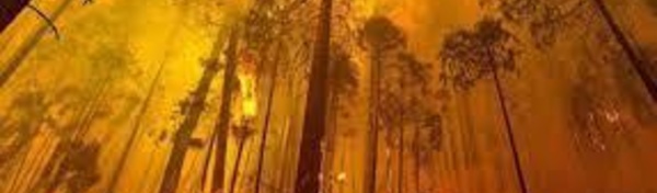 L'Australie en proie à la canicule attend des incendies virulents
