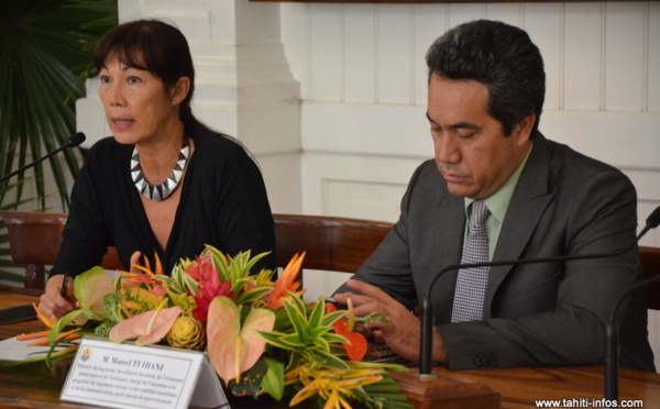 "Plus de 40 millions" pour la lutte chimique anti-vectorielle