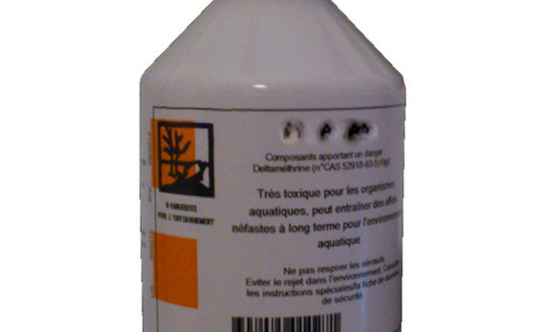 Des interrogations sur l’efficacité de la deltaméthrine pour la démoustication au grand air