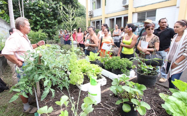 Potagers pédagogiques : formation d’enseignants du 1er degré (communiqué)