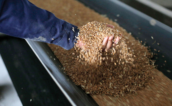 Blé, aluminium ou titane: Ukraine et Russie, clés de matières premières stratégiques