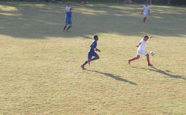 Mira nouveau dauphin à Moorea