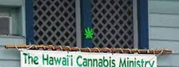 Consommation thérapeutique du cannabis : les Hawaiiens veulent surfer sur le créneau