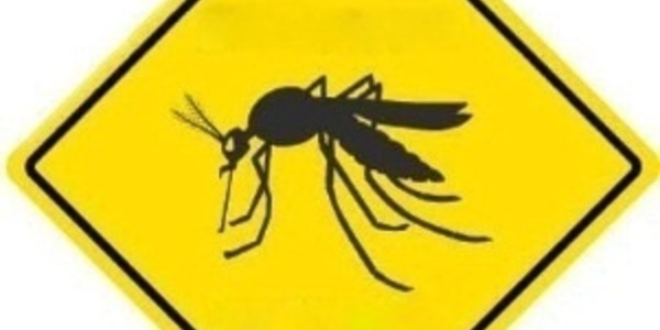 Lutte chimique antivectorielle : programme des pulvérisations du 10 au 14 février (communiqué)