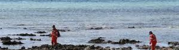 Nouvelle attaque mortelle de requin en Australie