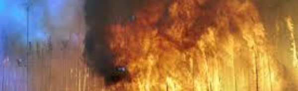 Australie: de nouveaux incendies violents détruisent des habitations