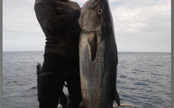 Pêche sous marine :  Championnat de Polynésie en individuel et sélectives pour le mondial  2014