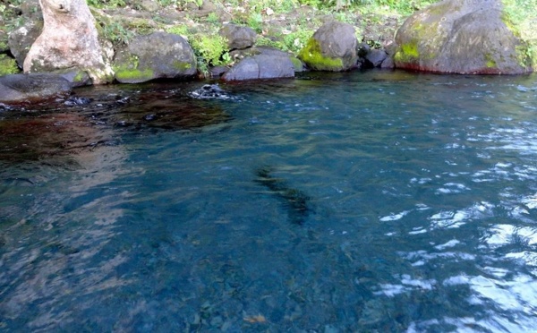 L'accès à la Vaima sévèrement réglementé par arrêté