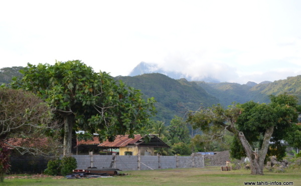 Deltaméthrine : Teva i Uta dit "non" à la pulvérisation