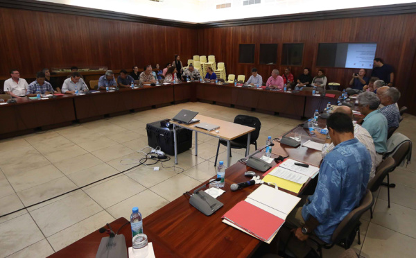 COPIL « Patrimoine mondial de l’UNESCO » : la constitution des dossiers polynésiens avance