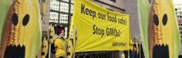 Australie: procès d'un fermier contre son voisin pour contamination par OGM de ses cultures