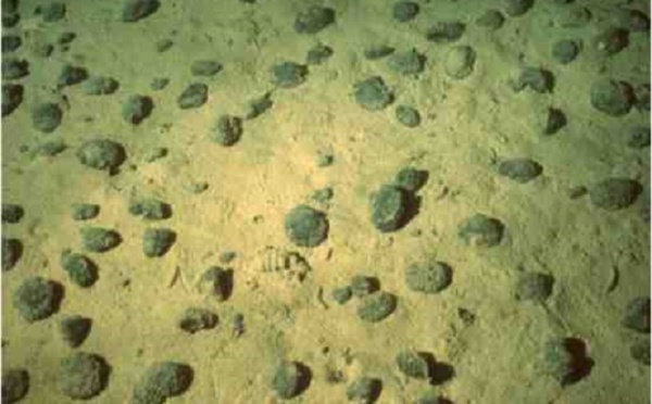 Le potentiel des terres rares en débat à l’Assemblée nationale