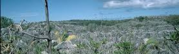 Escalade des tarifs des visas pour les médias : Wellington tente de dissuader Nauru