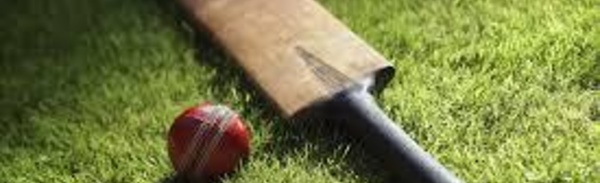 Australie: un enfant tué par son père après un entraînement de cricket