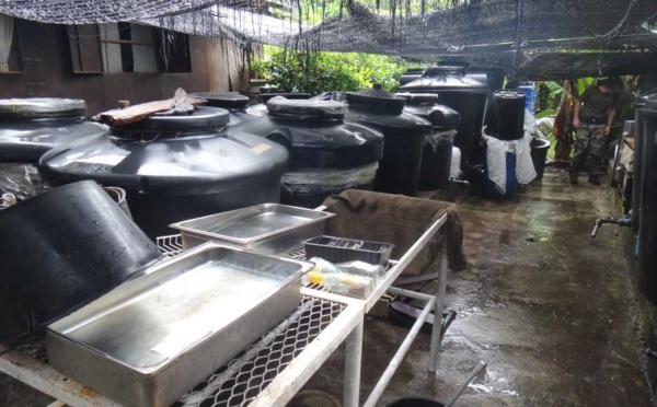 Interpellation d'un producteur de Komo à Huahine