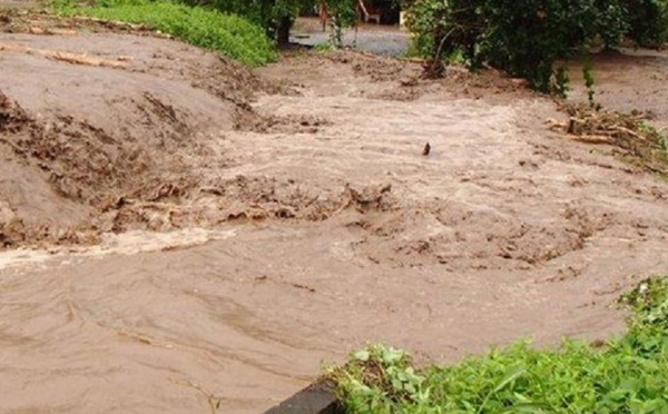 Leptospirose : personne n'est à l'abri
