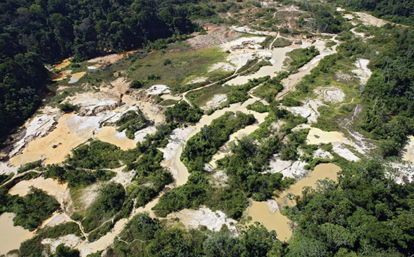 Guyane: tuerie dans le milieu de l'orpaillage illégal