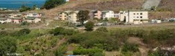 Logement social en Océanie : une mission néo-calédonienne en Nouvelle-Zélande