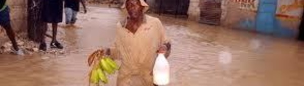 Inondations en Papouasie occidentale : 11 morts