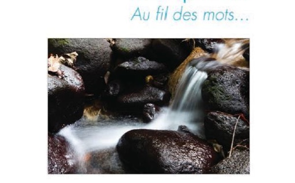 Iva, auteur polynésienne, publie "Poésies temporis" aux Editions Jets d'Encre