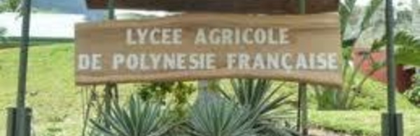 Journée portes ouvertes du lycée agricole de Moorea