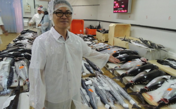 Pêche dans le Pacifique : le thon sur le « banc »