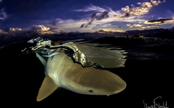 Un photographe de Tikehau primé en Suisse