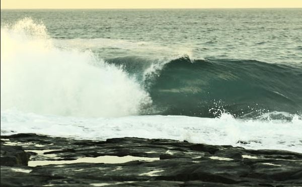 Un surfeur australien blessé dans une collision avec un dauphin